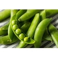 thumbnail image 1 of 50 Seeds SUGAR ANN PEA Stringless Sweet Green Snap Pisum Sativum Vegetable Seeds, 1 of 11