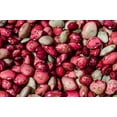 thumbnail image 1 of 50 Seeds Speckled Dixie BUTTERPEA LIMA BEAN Phaseolus Vulgaris Bush Vegetable Seeds, 1 of 6