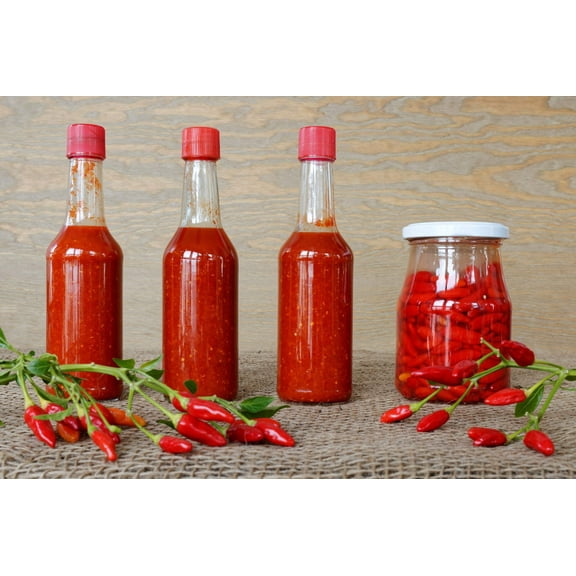 50 Seeds TABASCO PEPPER Hot Red Capsicum Fruitescens Vegetable Seeds