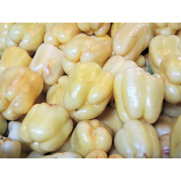50 Seeds WHITE CLOUD BELL PEPPER Sweet Mild Capsicum Annuum Vegetable Seeds