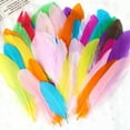 thumbnail image 1 of Colorful DIY Feather Craft Kit for Kids - 50 Set Natural Material Decoration Toy for Arts & Crafts and Play, 1 of 2