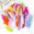 thumbnail image 1 of 50 Set Natural Colourful DIY Feather Craft Toy for Kids - Versatile Manual Decoration Material for Projects and Imaginative Play, 1 of 2