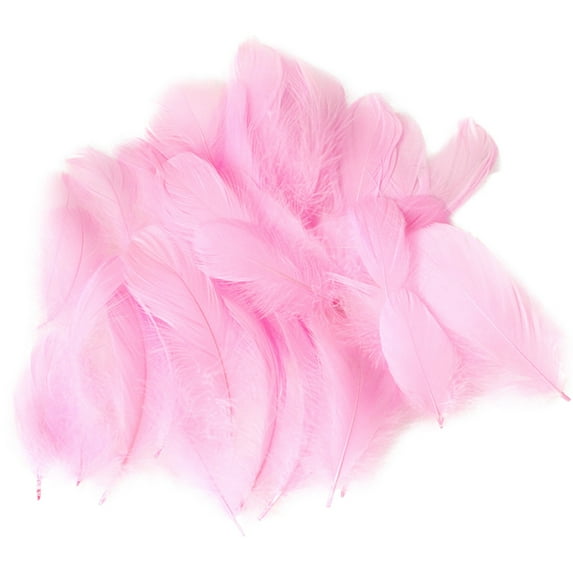 50 Set Natural DIY Feather Craft Toy Animal Feather Manual Decoration Material Kids Arts & Crafts Activity