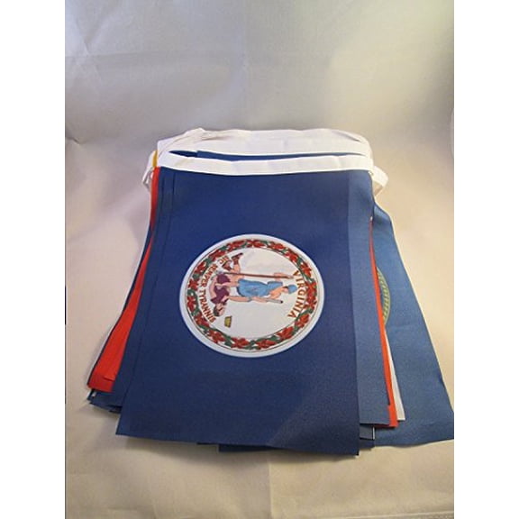 AZ Flag 50 States of US Bunting 33 ft 50 flags Light Polyester 15x10 cm