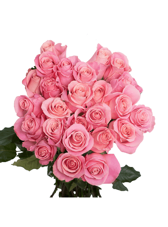 Fresh Flowers in All Flowers