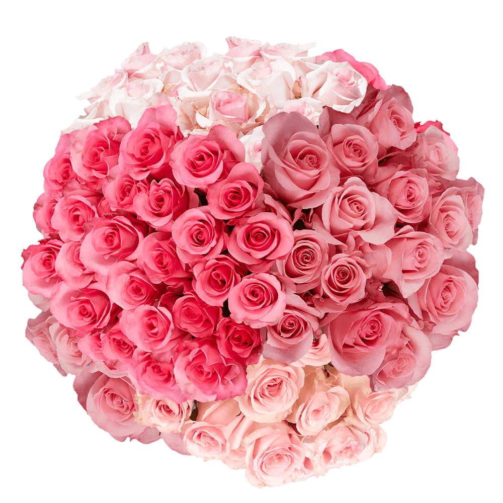 50 Stems of Assorted Pink Roses- Beautiful Fresh Cut Flowers- Express  Delivery