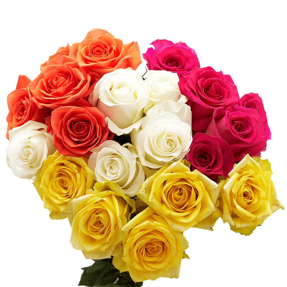 https://i5.walmartimages.com/seo/50-Stems-of-Assorted-Roses-Beautiful-Fresh-Cut-Flowers-Express-Delivery_406d9ac6-4a7f-4f1f-9013-f8ae7d9a1628.ad803449530cd9e950f382453962e9f2.png