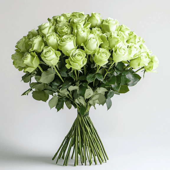 50 Stems of Green Roses- Fresh Flower Delivery