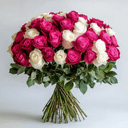 50 Stems of Roses: 25 Hot Pink and 25 White- Beautiful Fresh Cut Flowers- Next Day Delivery at Checkout