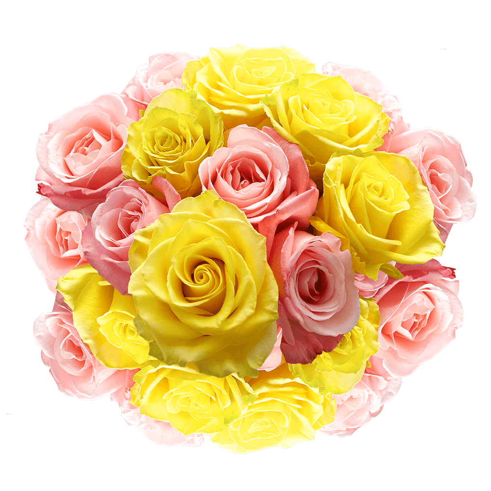 Pink Roses Petals - Heather Floral