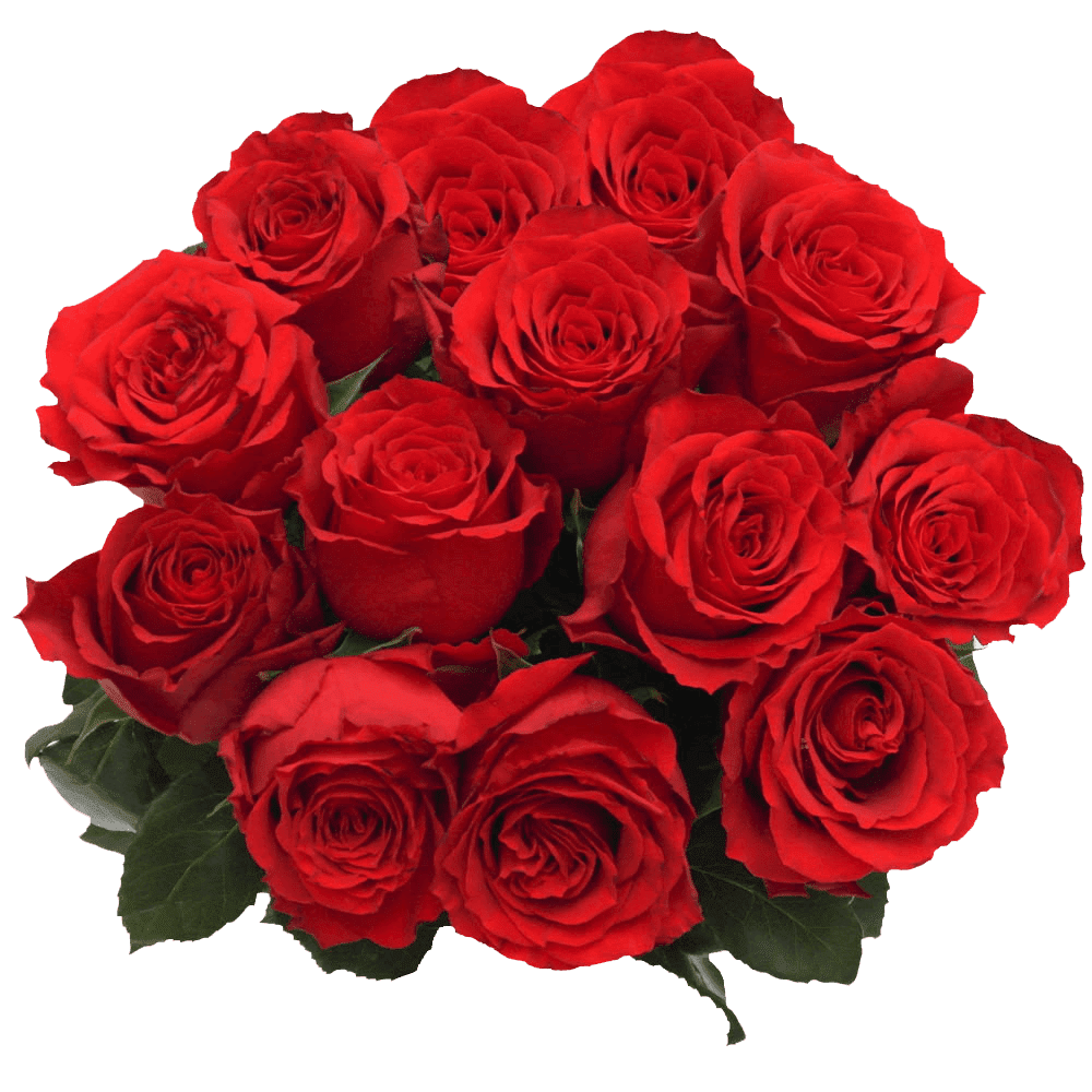 50 Stems of Undercover Red Roses Fresh Flower Delivery