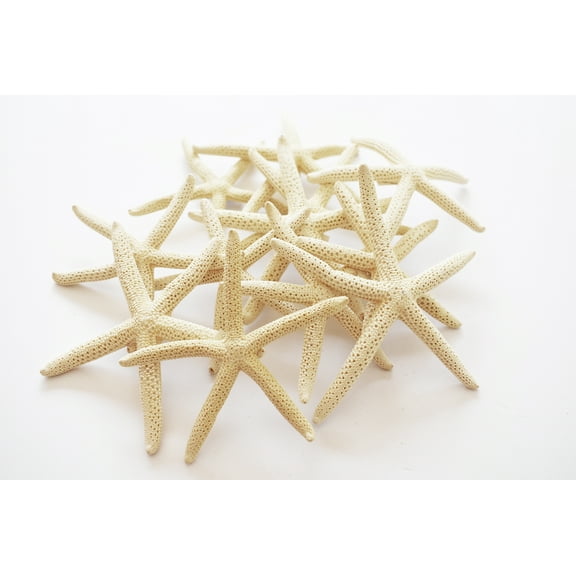 50 White Pencil (Finger) Starfish 3-4" Beach Wedding Nautical Decor Crafts