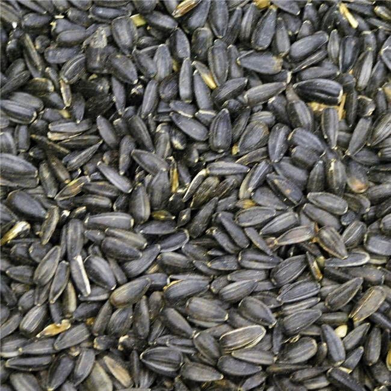 50 lbs Black Oil Sunflower Seed Food for Wild Bird Feed