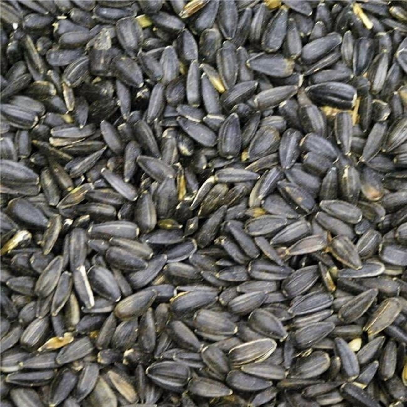 50 lbs Black Oil Sunflower for Wild Bird Feed