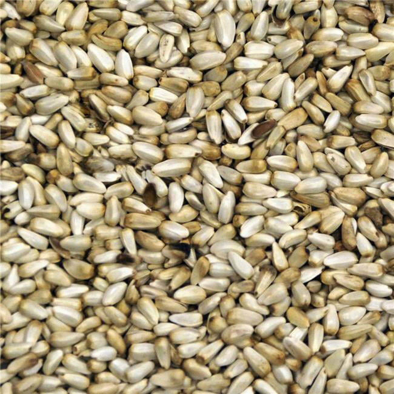 50 lbs Nutrasaff Safflower Wild Bird Seed Poly Woven Bag