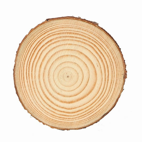 50 pc Flat Round Natural Pine Wooden Slices with Bark for Wood Craft BurlyWood 4~5x0.5cm
