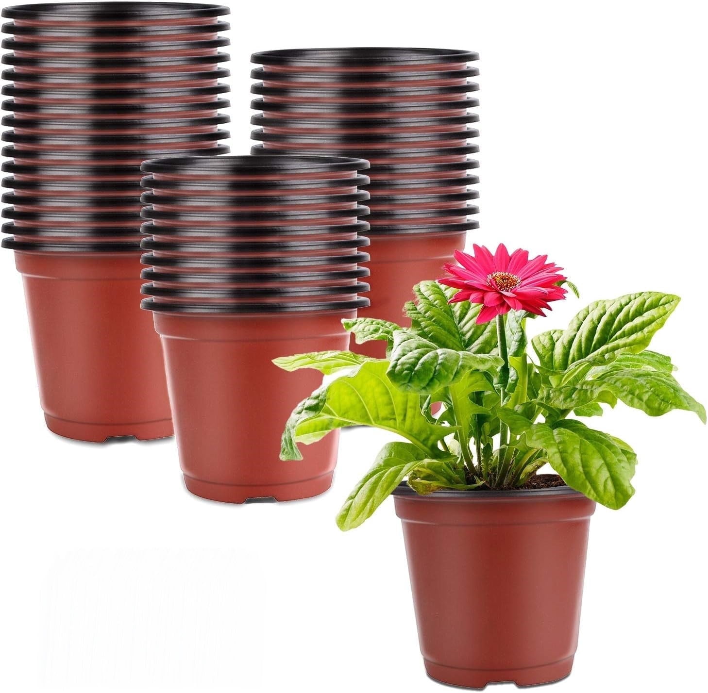50 Pcs 5 inch Planter Nursery Pots, Planters for Indoor Plants，Plastic Pots for Flower Seedling (Red)