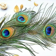 50 pcs Peacock Feathers in Bulk 10-12 inch(25-30 cm) Bulk for DIY Craft, Wedding, Mardi Gras Decoration