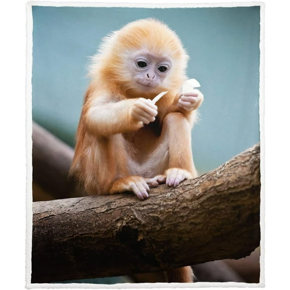 50" x 60"Animal Print Fleece Throw Blankets for Couch Sofa Bed, Manatee Family Sherpa Blanket, Super Soft Warm and Lightweight