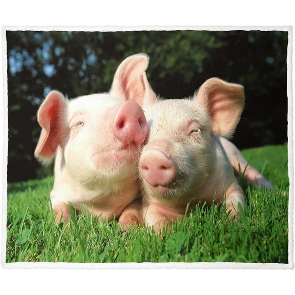 50" x 60"Animal Print Fleece Throw Blankets for Couch Sofa Bed, Manatee Family Sherpa Blanket, Super Soft Warm and Lightweight