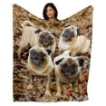 thumbnail image 1 of 50" x 60" Pug Plush Minky Blanket, 1 of 3