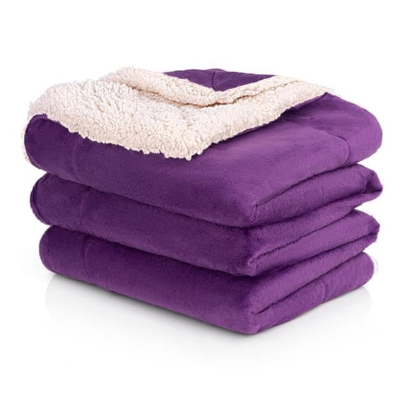 50 x 60 in. Micro Mink Sherpa Throw Blanket, Plum