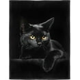 thumbnail image 1 of 50"x60" Blanket Soft Fluffy Flannel Fleece Throw Black Cat, 1 of 6