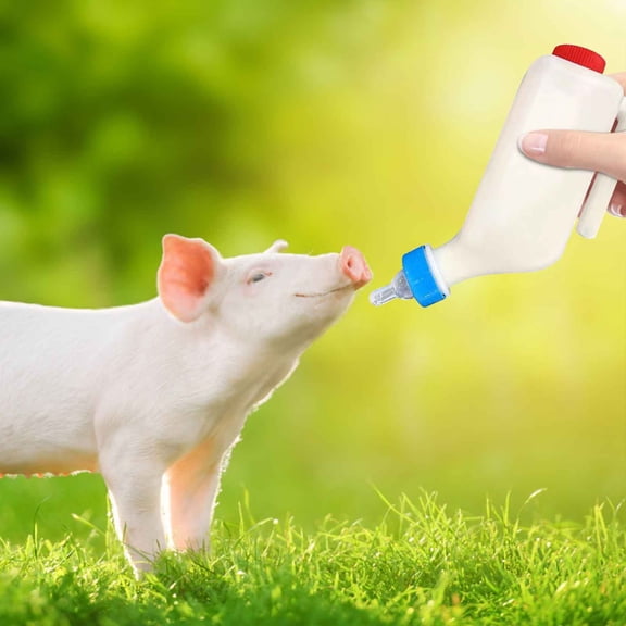 500/800ml Lamb Feeding Bottle, Portable Hanging Small Milk Jug, Large Capacity Lamb Feeding Thickened Nipple Veterinary Milk Feeding Drinker Milk Bottle