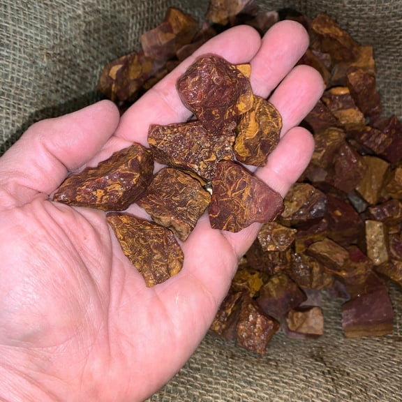 500 Carat Lots of Coquina Jasper Rough - Plus a FREE faceted Gemstone- Very Nice