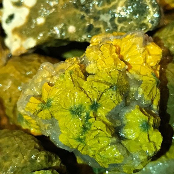 500 Carat Lots of Ocean Jasper Rough - Plus a FREE faceted Gemstone