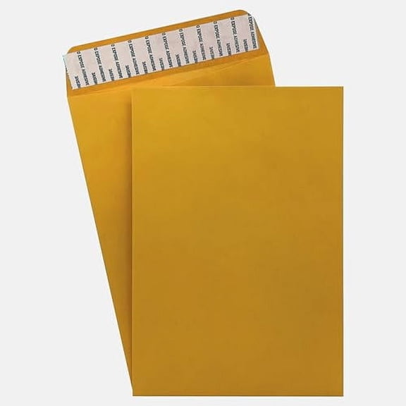 500 Cashier Depot 6 X 9 Catalog Envelopes, Peel & Seal, Sturdy 28lb. Brown Kraft Paper, 500/Box