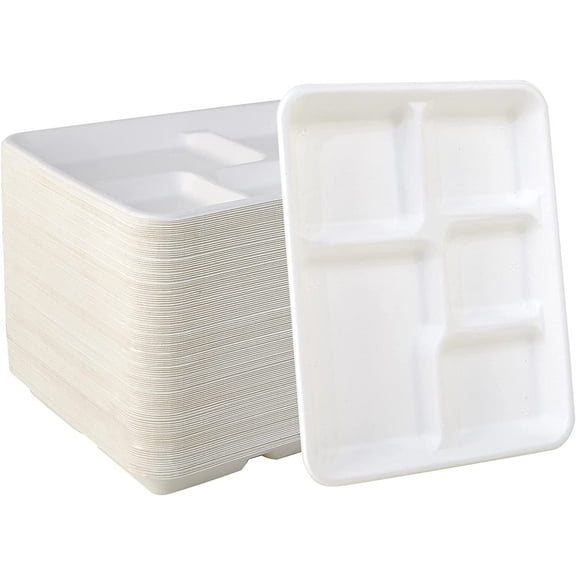 500 Count 5 Compartment Compostable Paper Plates 10.25 x 8.5 Inch