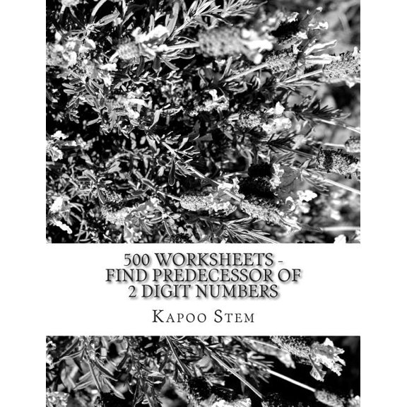 500 Worksheets - Find Predecessor of 2 Digit Numbers: Math Practice Workbook