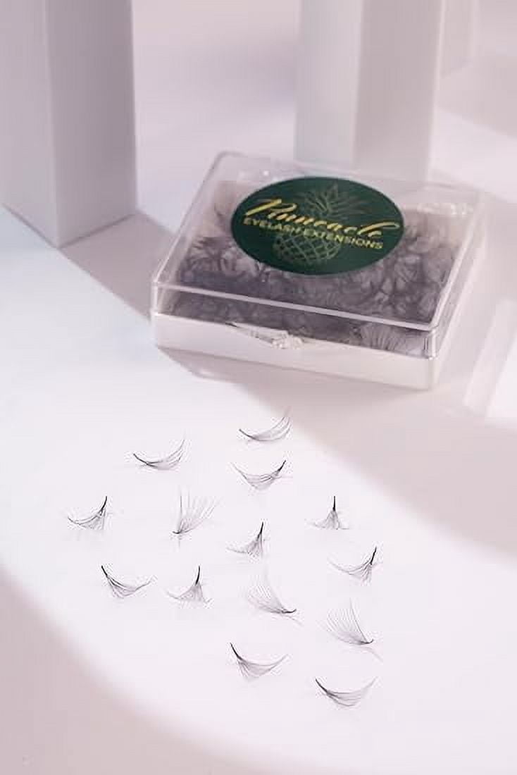 500 Fans | Eyelash Extensions Supply | Premium Premade Promade Mega Volume Loose Fans For Professional Lash Artists | Easy to use | Pointy, small base | Pinneacle Lash (12D | CC | 13mm)