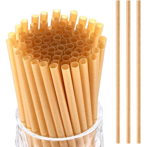 500 Pcs Biodegradable Sugarcane Straws Disposable Drinking Smoothie Straws Bulk for Home Parties Restaurants (5 Inch)