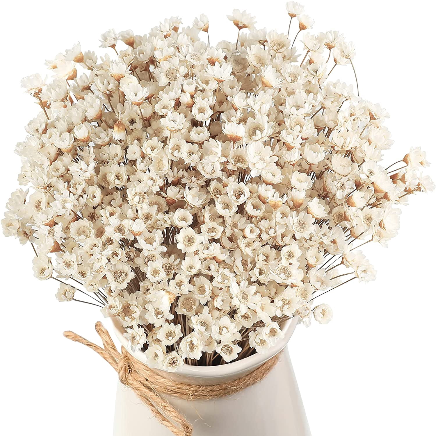 500 Pcs Natural Dried Flowers Mini Chamomile Star Daisy, White Floral Bouquet For Wedding Vase Arrangements Decor
