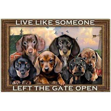 500 Piece Jigsaw Puzzles Dachshunds Let The Gate Open Jigsaw Puzzles for Adults and Kids Development Toys Games Toys Gift