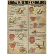 500 Piece Jigsaw Puzzles Dental Injection Knowledge Dentist's Guide Puzzles for Adults 500 Pieces Puzzles Jigsaw Puzzles for Adults 500 Pieces and Up Puzzle Gift for Women Men 20.5x15 Inch