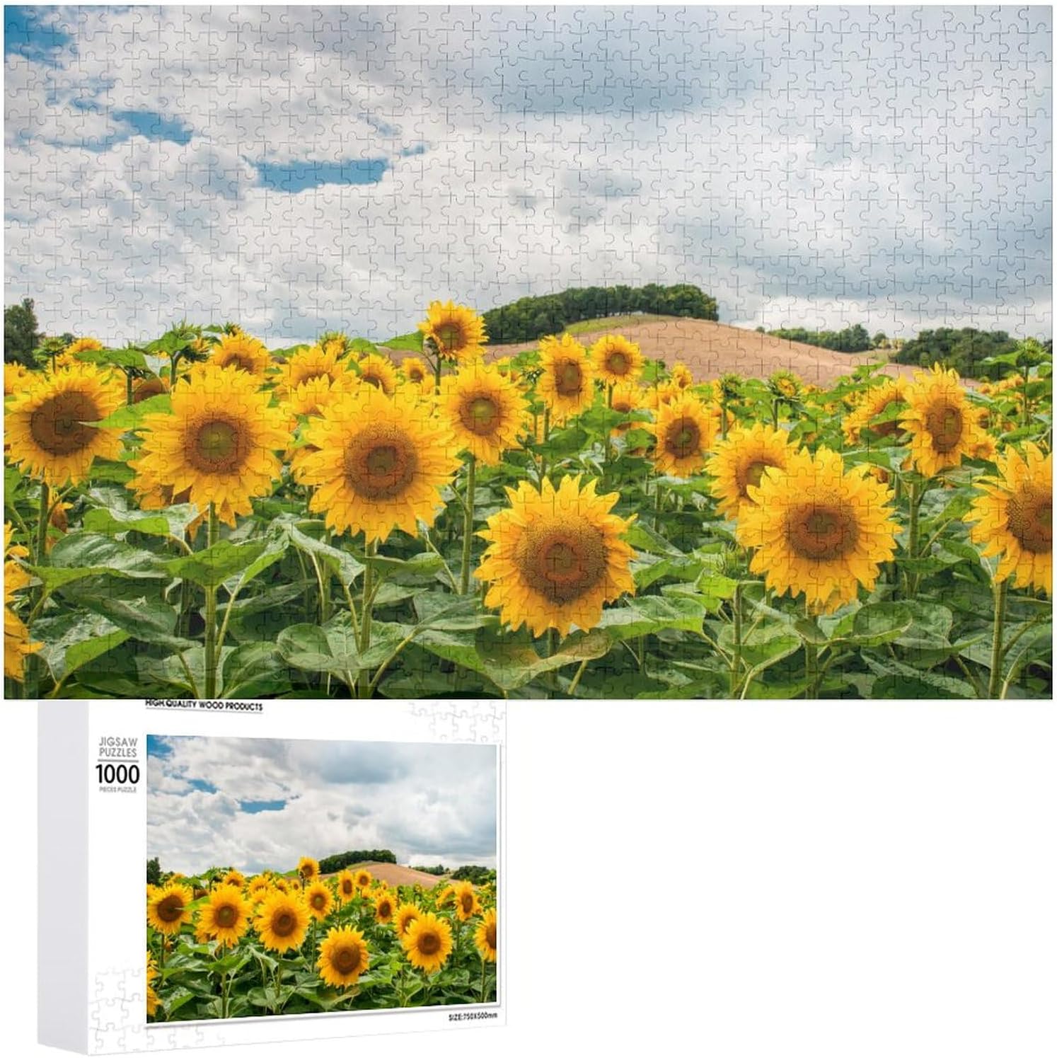 500 Piece Jigsaw Puzzles Sunflowers Flowers Puzzle for Adults Puzzle ...