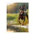 thumbnail image 1 of 500-Piece Wooden Jigsaw Puzzle for Adults - Doberman Running Water Splash , Fun & Relaxing Family Game, No-Dust Interlocking Pieces, Perfect Wall Decor & Holiday Gift, 1 of 7