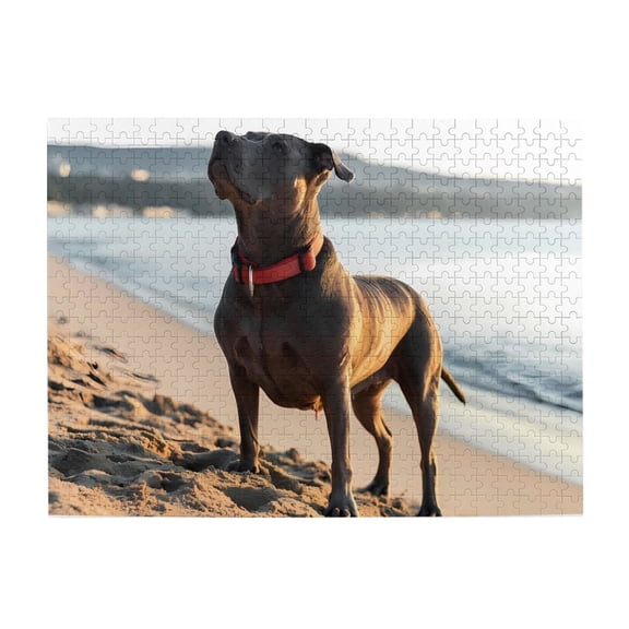 500-Piece Wooden Jigsaw Puzzle for Adults - Dog Beach Collar Sand Sea , Fun & Relaxing Interlocking No-Dust Puzzle for Family, Home Decor & Holiday Gifts
