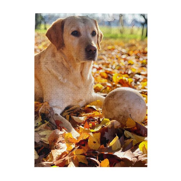 500-Piece Wooden Jigsaw Puzzle for Adults - Golden Dog Autumn Leaves Ball , Fun & Relaxing Interlocking No-Dust Puzzle for Family, Home Decor & Holiday Gifts