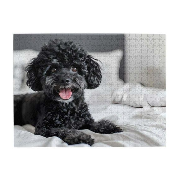 500-Piece Wooden Jigsaw Puzzle for Adults - Black Poodle Lying Bed Tongue , Interlocking Pieces with Guide Letters, Holiday Gift & Home Decor
