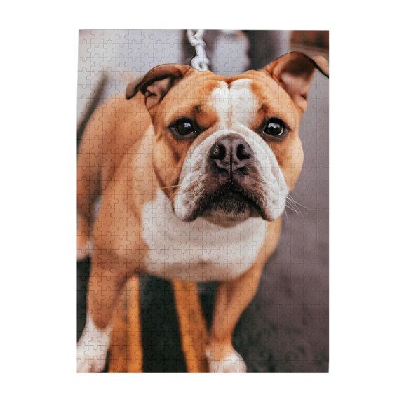 500-Piece Wooden Jigsaw Puzzle for Adults & Families - Dog Close Up Brown White , Fun & Educational Brain-Teasing Game, Artistic Home Decor