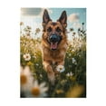 thumbnail image 1 of 500-Piece Wooden Jigsaw Puzzle for Adults & Families - German Shepherd Daisies Field , Fun & Educational Brain-Teasing Game, Artistic Home Decor, 1 of 7