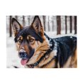 thumbnail image 1 of 500-Piece Wooden Jigsaw Puzzle for Adults - German Shepherd Snow Forest , Fun & Challenging Brain Teaser, Stylish Home Decor & Unique Gift, 1 of 7