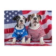 thumbnail image 1 of 500-Piece Wooden Jigsaw Puzzle for Adults - Patriotic Pups American Flag , Interlocking Pieces with Guide Letters, Holiday Gift & Home Decor, 1 of 7