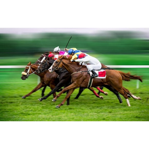 500 Piece Wooden Puzzle for Adults Derby Horse Racing Orhorse Race Track Picture Race Horse Fan Sports Kentucky Jigsaw Puzzle Challenging Youth Fun Puzzle Family Educational Game Toys Activities Gift