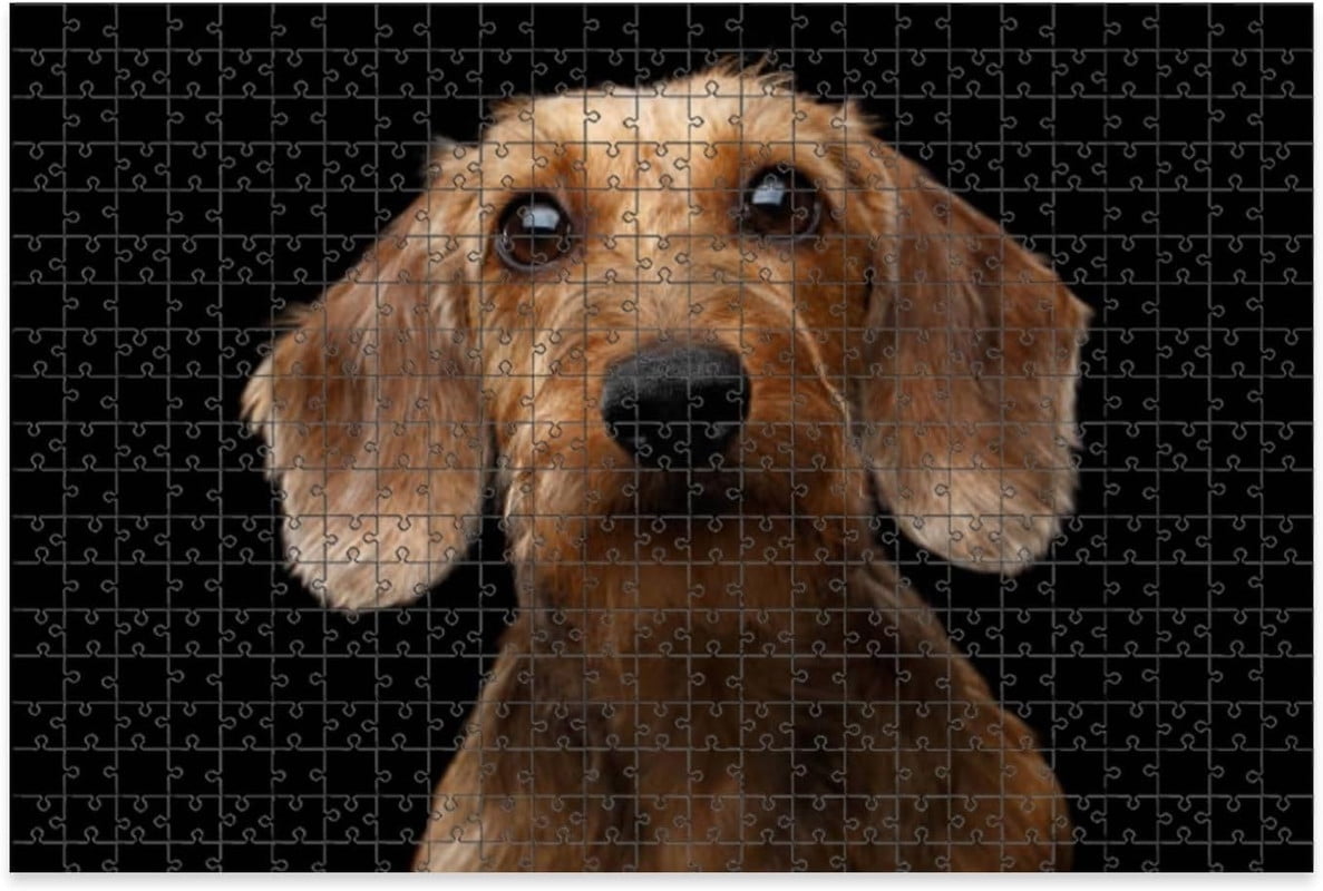 500 Pieces Puzzles Wooden Letter Area Design Dachshund Dog Puzzle Gifts