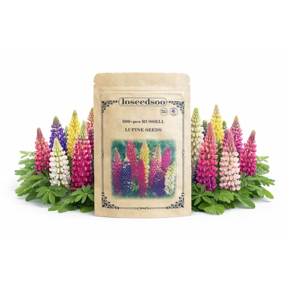 500+ Russell Lupine Seeds Mixed Color Tall Perennial Flower Seeds for Planting Outdoors, Hardy Garden Lupins, High Germination, Attracts Butterflies